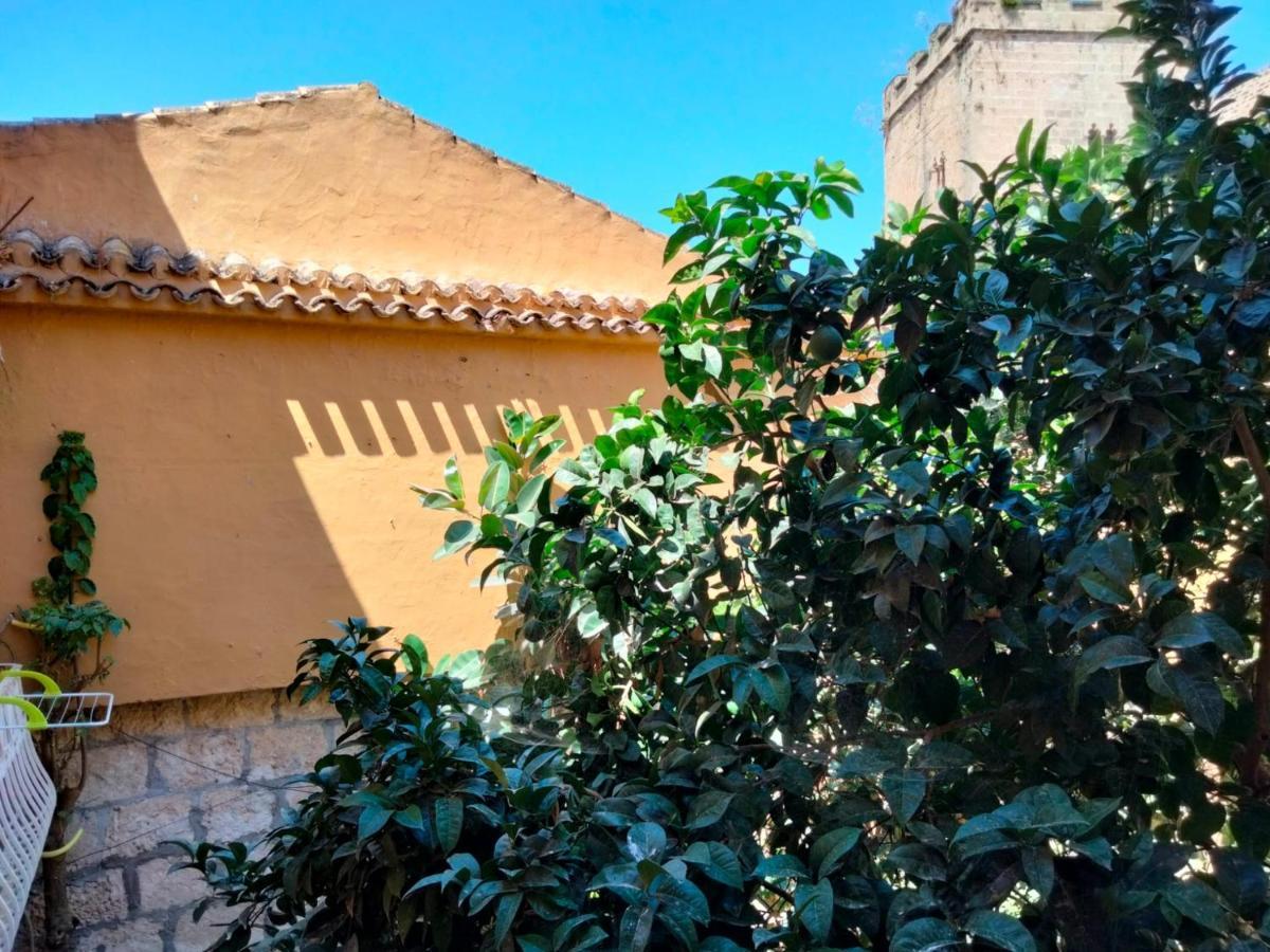 Estudio Castillo Denia Exterior photo